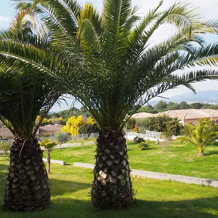 Apartment Rez De Jardin Centre De Porticcio